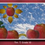 Tim T - Grade 10
Project: Fun Fruit & Veggies
Objecitves: Layers/Extract
Source Images: 6